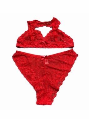 NWOT Plus Size Lace Sexy Bra Panty Set (Hot Red) Size 2X